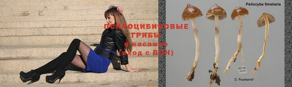 тгк Майский