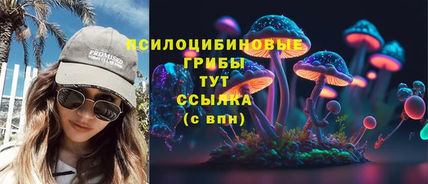 тгк Майский